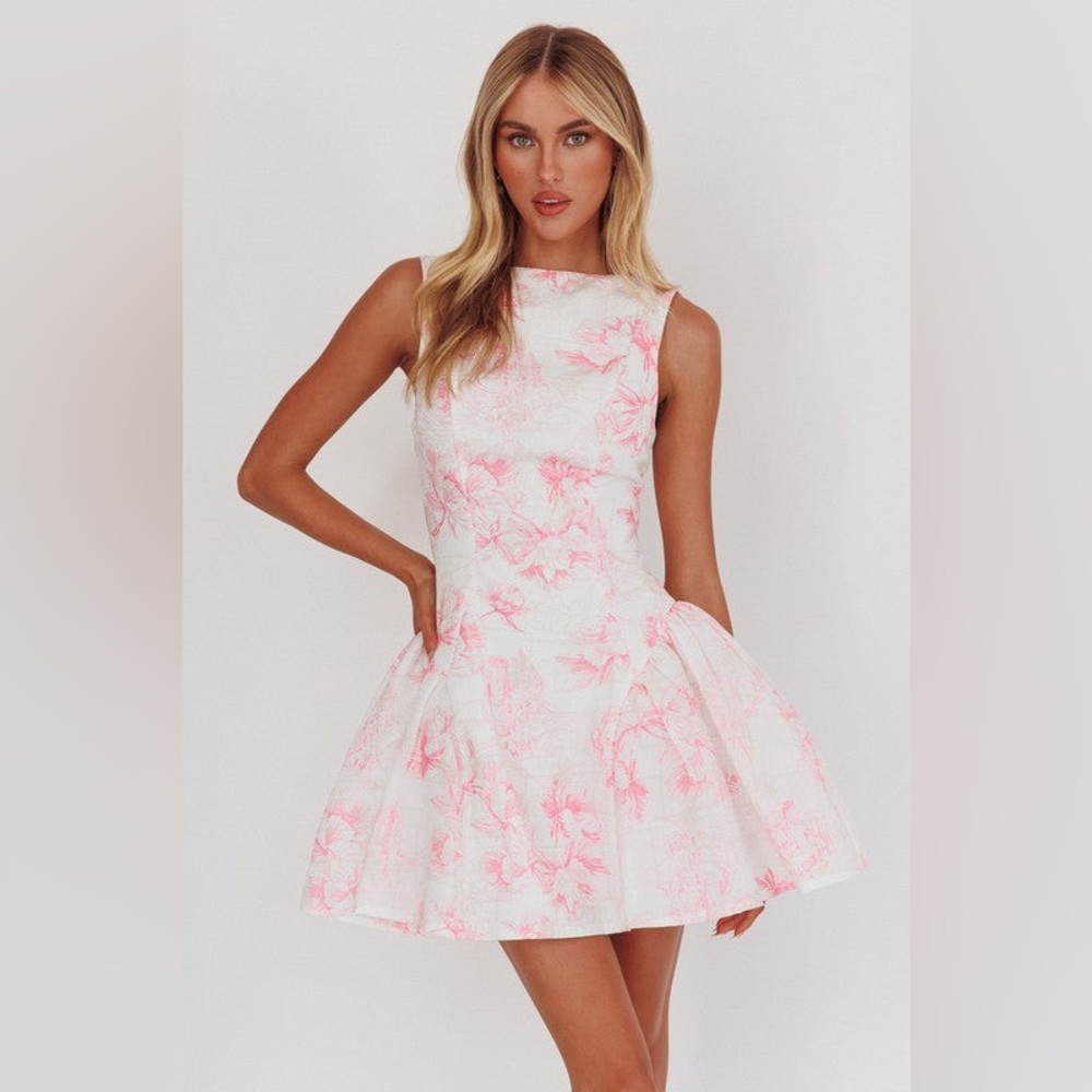 Pink Floral Fit and Flare Toile Mini Dress